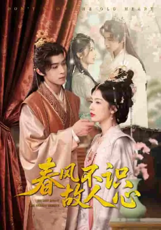 春风不识故人心 海报