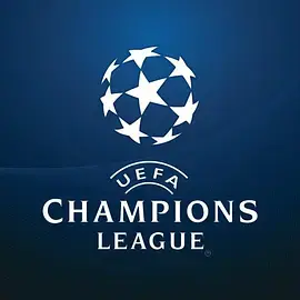 欧洲冠军联赛:足球巅峰对决的传奇之旅