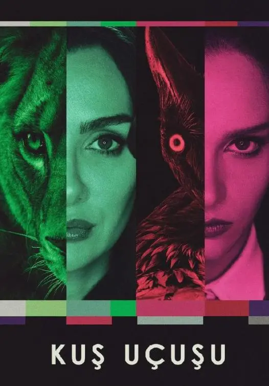 《直线篡位》第三季：权力的游戏再升级，阴谋与反转的终极盛宴！剧情深度解析，角色命运走向全预测！