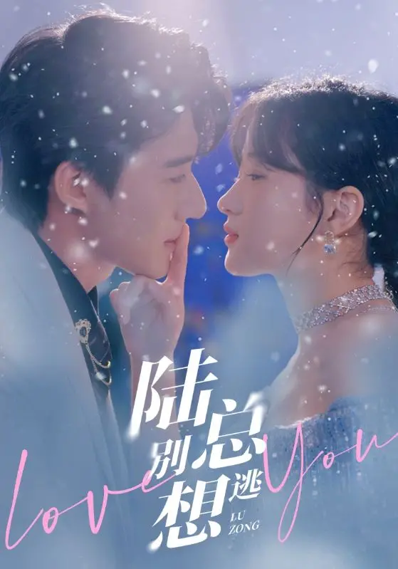 《陆总别想逃》：霸道总裁与倔强女生的甜蜜追逐
