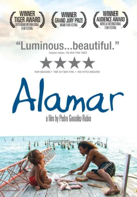 《拥抱大海》影评：一场关于救赎与希望的蓝色史诗，感受海洋的温柔力量！