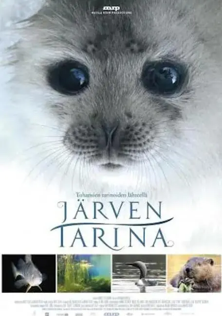 《湖泊的传说》：一场关于勇气与梦想的奇幻漂流，看少年们如何乘风破浪，实现逆袭的青春赞歌！